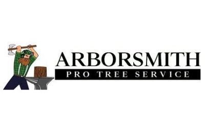 Arborsmith Pro Enhances Tree Health with Expert Pruning Services in Gig Harbor, WA